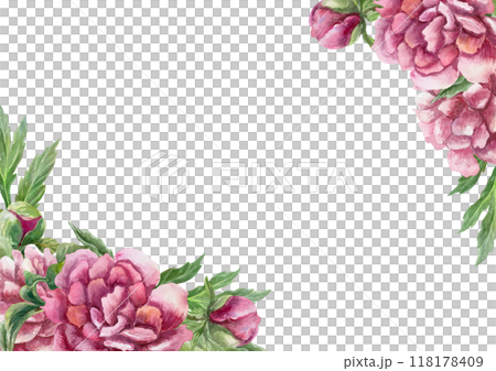 Floral frame with lush burgundy peonies in the corners. Hand drawn watercolor illustration isolated on white. For birthday greeting cards, mothers day, wedding invitations, labels. 118178409