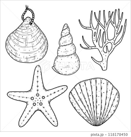 Set of seashells, coral, starfish.  Vector illustration 118178450