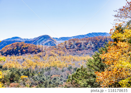 栃木県　日光の紅葉風景　　 118178635
