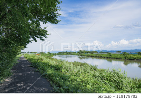 新潟　中ノ口川 118178782