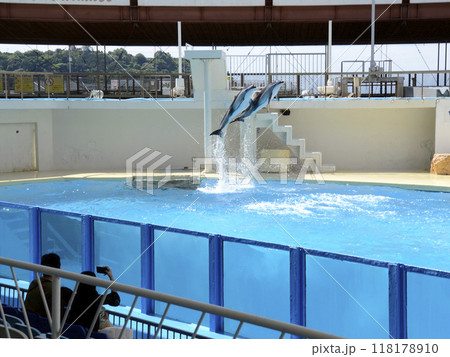 イルカのジャンプ イルカのジャンプ 118178910