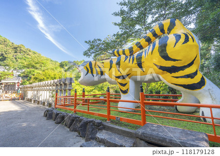 奈良 朝護孫子寺 世界一福寅 奈良 朝護孫子寺 世界一福寅 118179128
