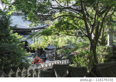 奈良 朝護孫子寺 石灯籠がずらりと並ぶ参道 奈良 朝護孫子寺 石灯籠がずらりと並ぶ参道 118179158