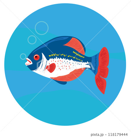Colored vector illustrations of stylized fish in naturalistic style on multicolored background. Vector illustration 118179444