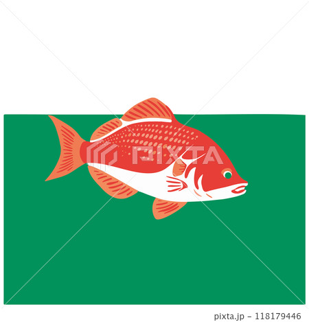 Colored vector illustrations of stylized fish in naturalistic style on multicolored background. Vector illustration 118179446