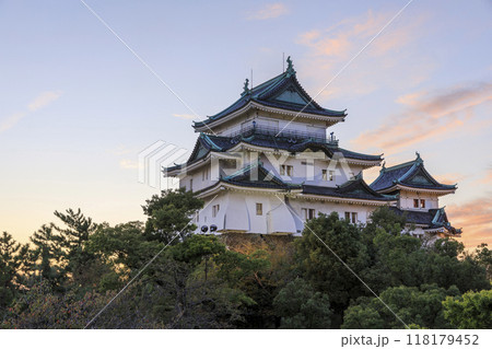 和歌山県和歌山市　和歌山城の夕景 118179452
