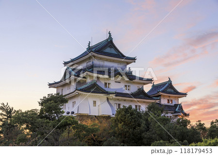 和歌山県和歌山市　和歌山城の夕景 118179453