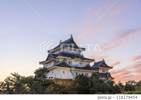 和歌山県和歌山市　和歌山城の夕景 118179454