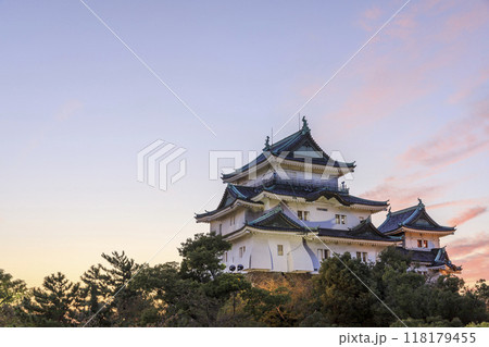 和歌山県和歌山市　和歌山城の夕景 118179455