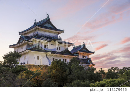 和歌山県和歌山市　和歌山城の夕景 118179456