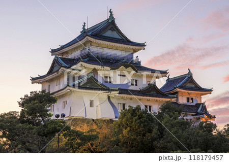 和歌山県和歌山市 和歌山城の夕景 和歌山県和歌山市 和歌山城の夕景 118179457