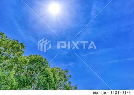 神奈川県横浜市の都市風景 緑園都市駅 新緑 神奈川県横浜市の都市風景 緑園都市駅 新緑 118180378