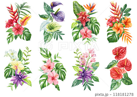 Bouquet flowers watercolor botanical painting isolated. Tropical palm leaf, orchid, hibiscus, paradise exotic flowers 118181278