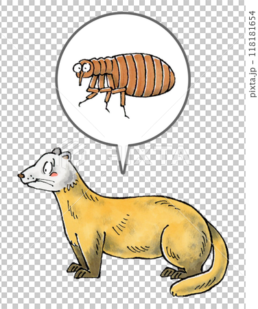 Marten and Flea 118181654