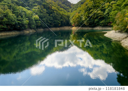 兵庫・神戸 秋の布引貯水池/湖面に映る紅葉 兵庫・神戸 秋の布引貯水池/湖面に映る紅葉 118181848