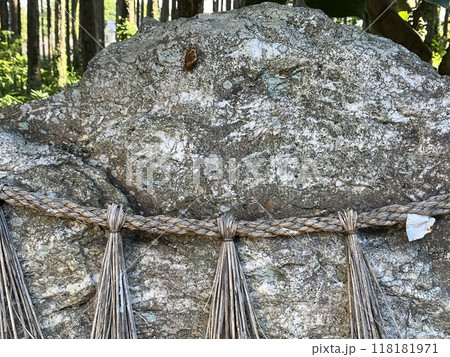 磐座に蝉の抜け殻 118181971