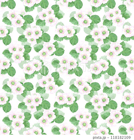 Hand drawn watercolor strawberry blossom with green leaves seamless pattern isolated on white background. Can be used for textile, fabric and other printed products. 118182109