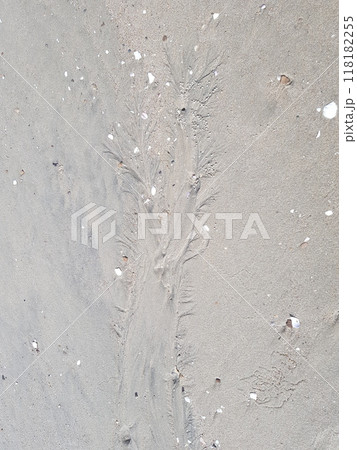 empty road in the city 118182255