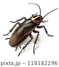 ゴキブリ 118182296