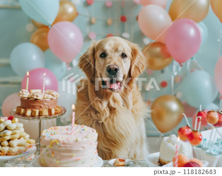 Golden Retriever at a Festive Dog Birthday Party Golden Retriever at a Festive Dog Birthday Party 118182683