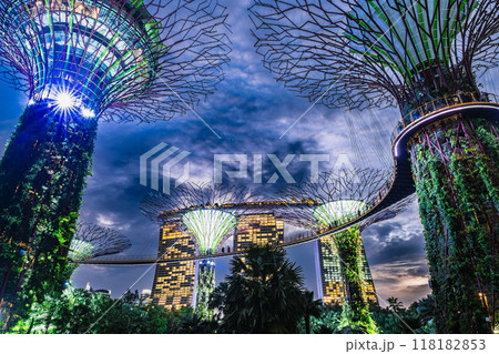 シンガポール　ガーデンズ・バイ・ザ・ベイ　夕景 118182853