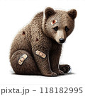 ケガした熊 118182995