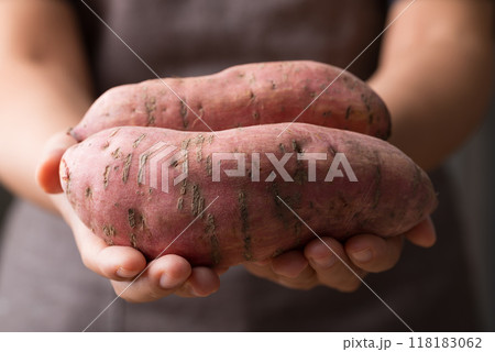 Raw organic Japanese sweet potatoes holding by hand 118183062