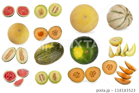 group of melon in studio group of melon in studio 118183523