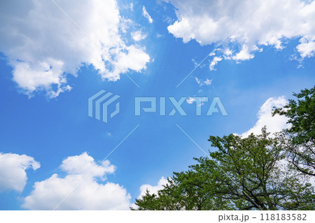 夏の雲と木立 118183582