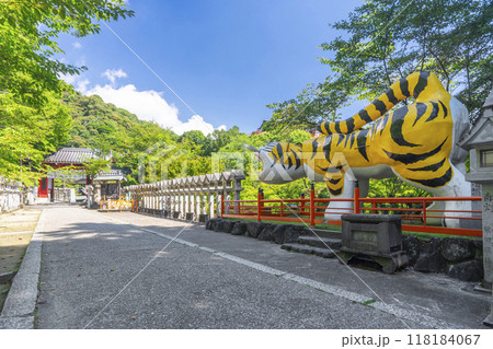 奈良 朝護孫子寺 世界一福寅 奈良 朝護孫子寺 世界一福寅 118184067