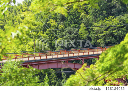 信貴大橋 大門ダム公園の絶景 信貴大橋 大門ダム公園の絶景 118184083