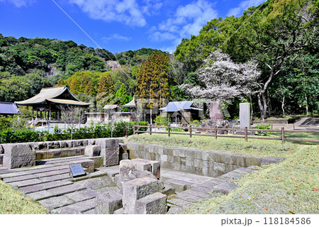 桜咲く仙厳園の反射炉跡 118184586
