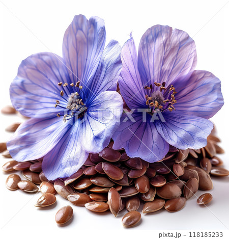 Flax seeds with flower isolated on white background. Concept of organic and vitamin oil. 118185233
