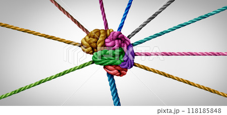 Neural Pathways 118185848