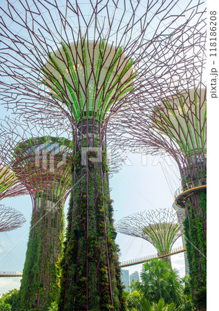giant tree building at Garden by the Bay, Singapore in sunny day 118186208