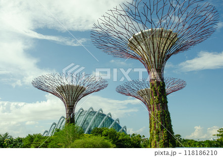 giant tree building at Garden by the Bay, Singapore in sunny day 118186210