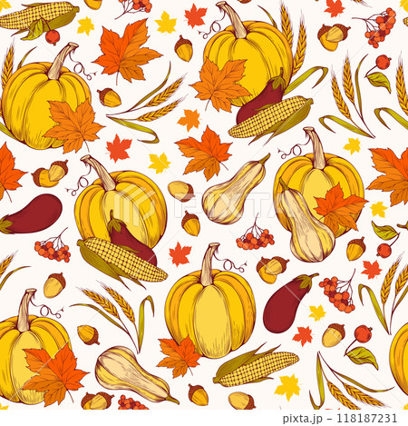 Thanksgiving Harvest Vector Seamless Pattern, Traditional Pumpkins and Orange Leaves. Autumn Holiday Celebration Wallpaper. Fall Season Colorful Hand-Drawn Natural Vegetables and Acorn Thanksgiving Harvest Vector Seamless Pattern, Traditional Pumpkins and Orange Leaves. Autumn Holiday Celebration Wallpaper. Fall Season Colorful Hand-Drawn Natural Vegetables and Acorn 118187231