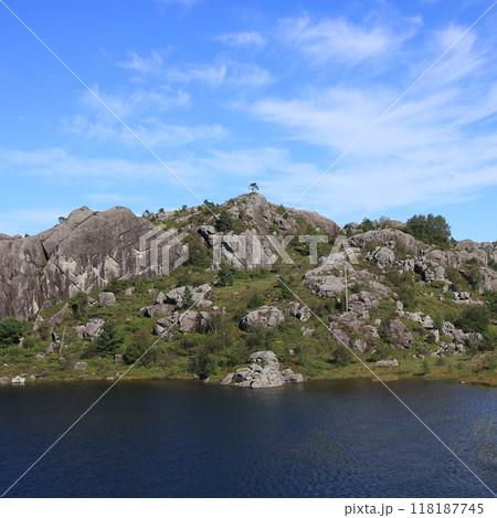 Small blue lake and single tree growing on top of a rocky hill, Hellvik, Norway. 118187745