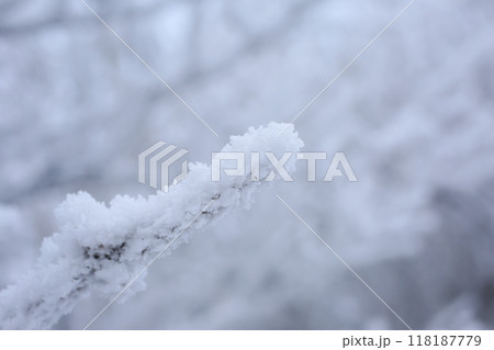 樹氷 118187779