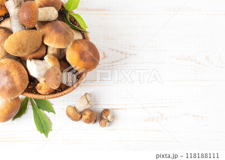 Mushroom boletus in basket on white wooden table. Harvesting fresh cep. Food, design, autumn. Nature concept. Flat lay, top view, copy space Mushroom boletus in basket on white wooden table. Harvesting fresh cep. Food, design, autumn. Nature concept. Flat lay, top view, copy space 118188111