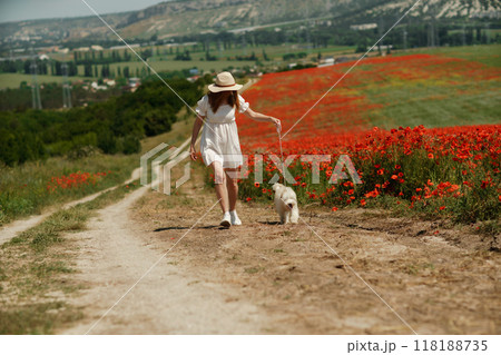 woman with dog. Happy woman walking with white dog the road along a blooming poppy field on a sunny day, She is wearing a white dress and a hat. On a walk with dog 118188735