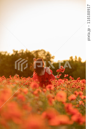 Woman poppy field red dress. Happy woman in a long red dress in a beautiful large poppy field. Blond stands with her back posing on a large field of red poppies 118188917