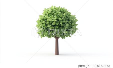 Trees isolated on white background, tropical trees isolated used for design, advertising and architecture 118189278
