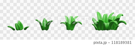 Vector 3D growth phases of green grass icons on transparent background. Vector 3D growth phases of green grass icons on transparent background. 118189381
