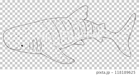 ジンベエザメの手描きのイラスト 線画のみ ジンベエザメの手描きのイラスト 線画のみ 118189625