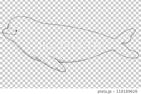 シロイルカの手描きのイラスト 線画のみ シロイルカの手描きのイラスト 線画のみ 118189626