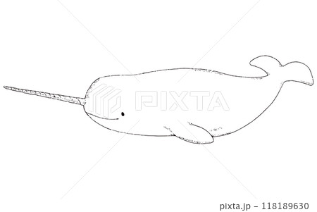 イッカクの手描きのイラスト 線画のみのイラスト素材 [118189630] - PIXTA