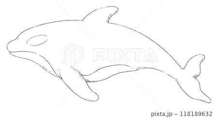 シャチの手描きのイラスト　線画のみ 118189632