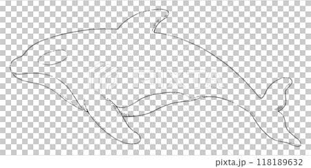シャチの手描きのイラスト　線画のみ 118189632