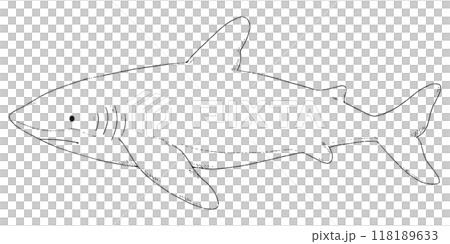 サメの手描きのイラスト　線画のみ 118189633